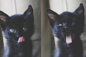 米兰登录入口-世界青年锦标赛预选赛，俄罗斯队逆势上扬，期待突破极限，世界青年锦标赛参赛队年龄要求