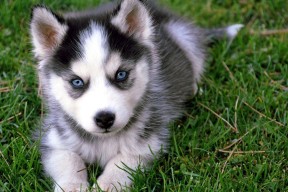 米兰体育官网-里根·史密斯展现强劲的竞赛韧性，里瑟 史密斯