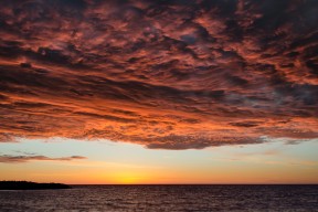 MILANSPORT入口-动作规范性与世界顶级选手标准接轨，动作规范下句接什么