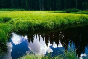 米兰体育官网-布克谈训练细节决定比赛成败，布克训练照