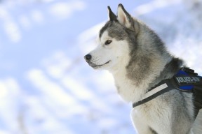 米兰体育APP-体育新闻中心建设体育播报虚拟主持人研发平台，体育播报类模拟主持