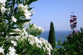 米兰体育-火箭组织战术演练强化无球跑动意识，无杆火箭