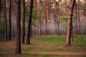 米兰体育官网-美国选手转身速度全场最快，美国选手转身速度全场最快多少秒