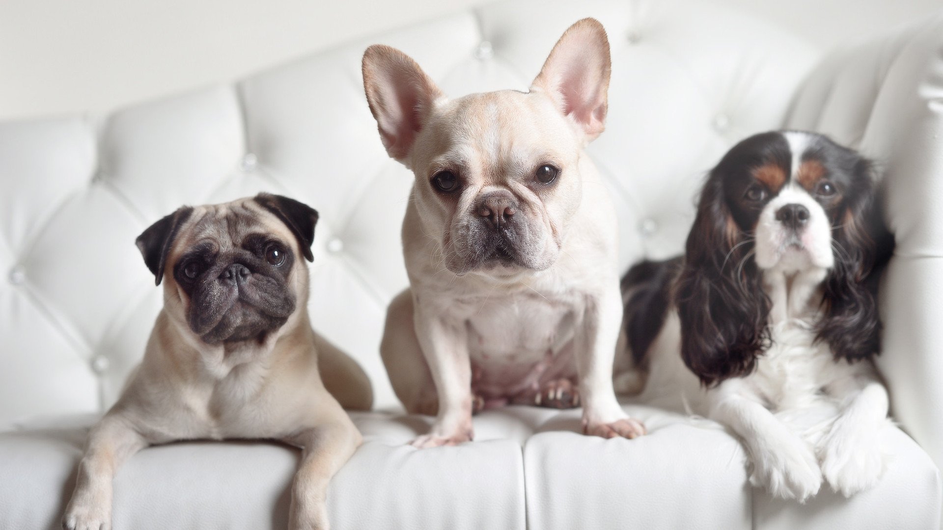 PSG中场配合不顺影响整体发挥