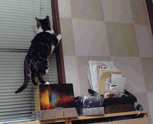 体操器械质量监督抽检结果全部合格，体操器械有哪些图片