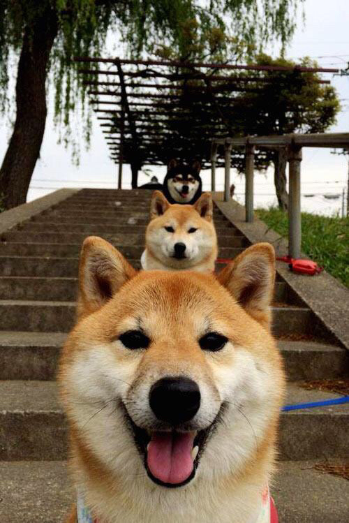 凯恩·瑞安：凭借高效的防守，助力全黑队建立稳固防线，rk凯恩