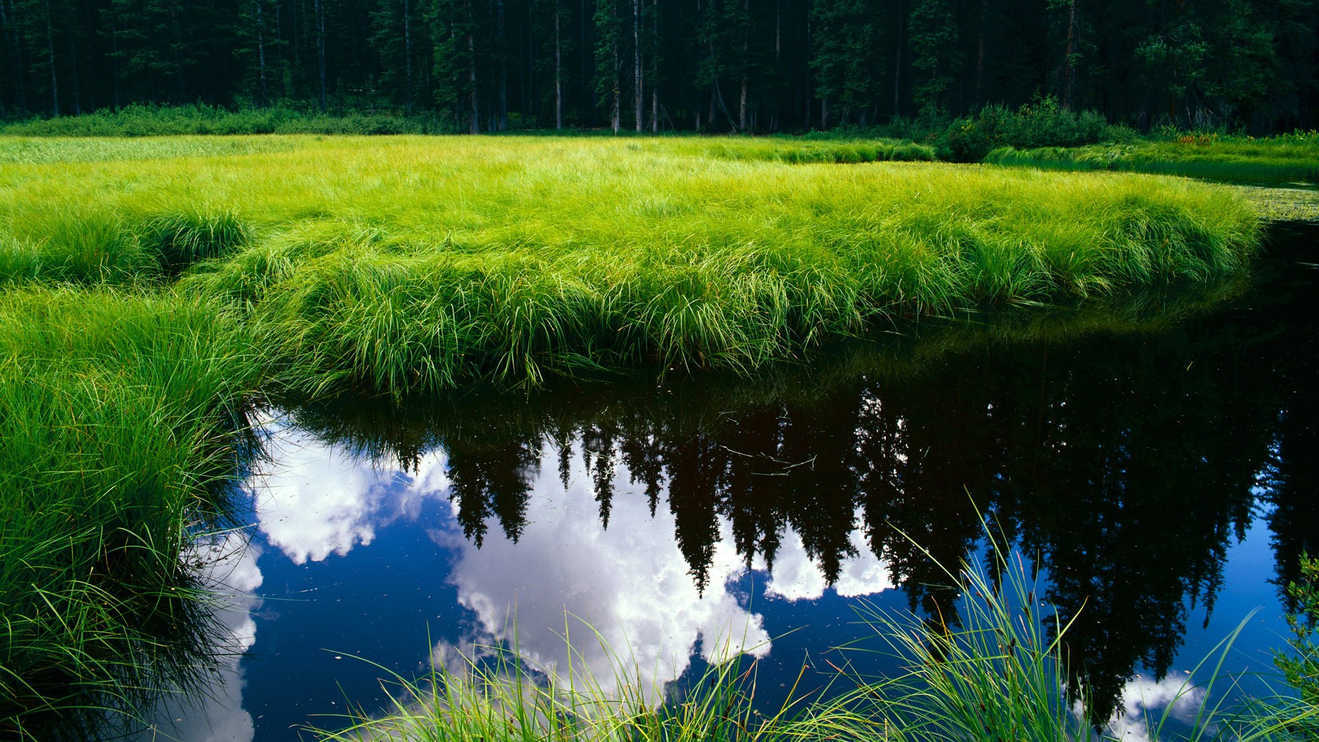 布克谈训练细节决定比赛成败,布克训练照
