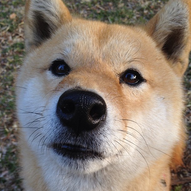 欧洲杯战术大革命:阵型变化引领新潮!,欧洲杯战略