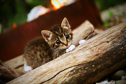里根·史密斯展现强劲的竞赛韧性,里瑟 史密斯