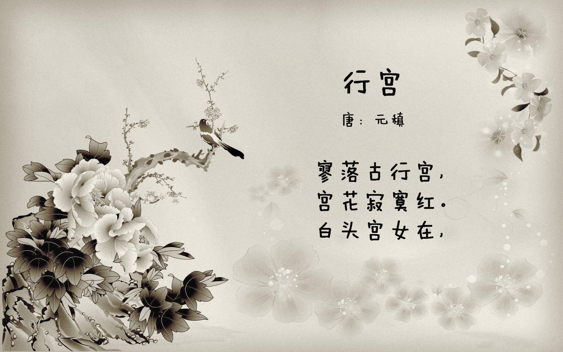 阿森纳青训持续发力,培养未来巨星